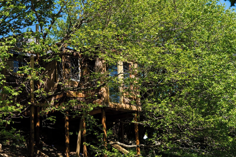 Treehouse Cabin Wilderness Escape