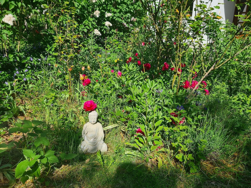 Krusenhagen Apartment With Garden