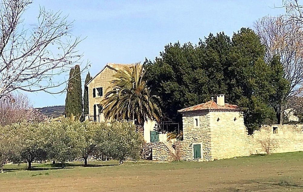 Photo 42