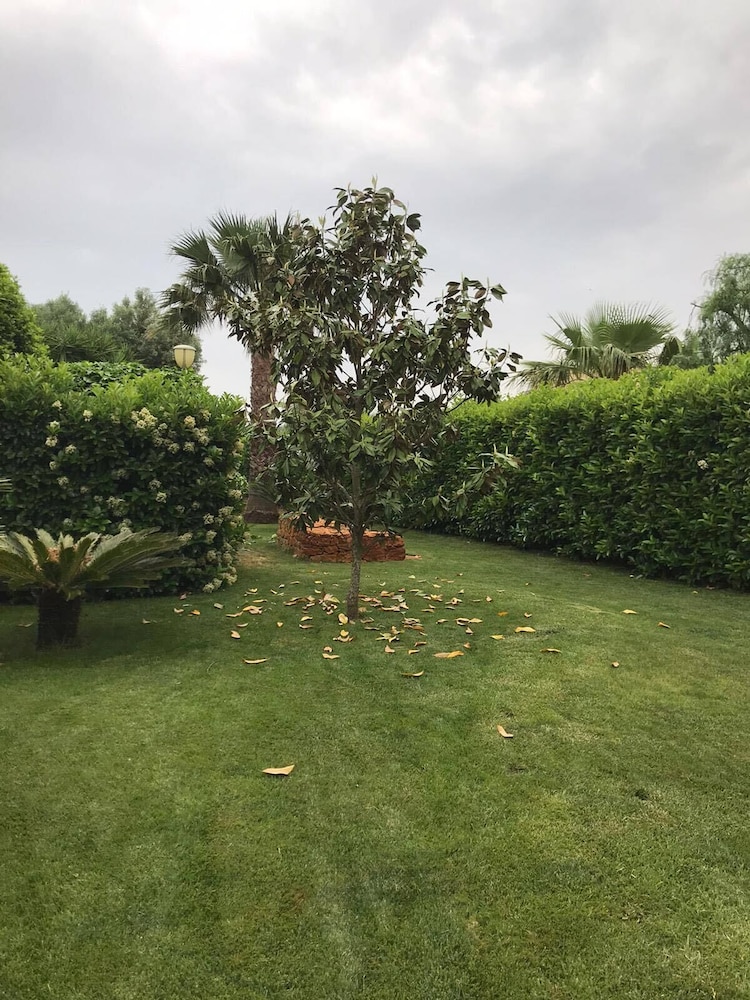Bed&Breakfast Villa Mamma Grazia, photo 22