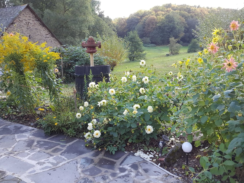 Photo 23
