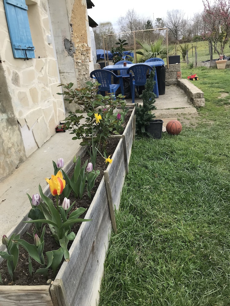 Photo 23
