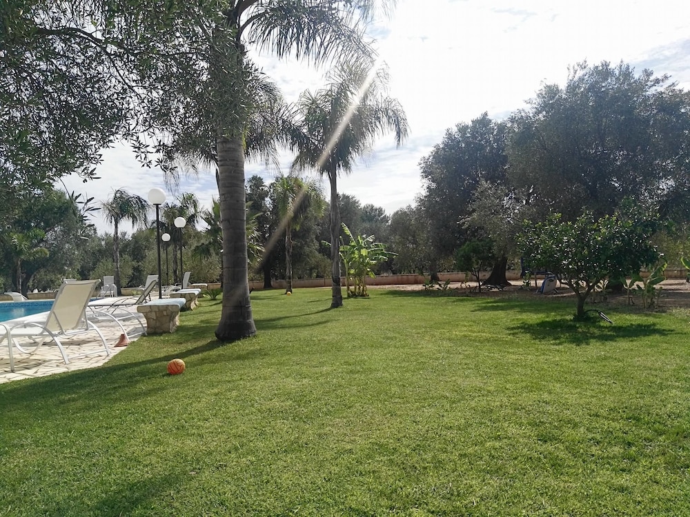 Photo 25