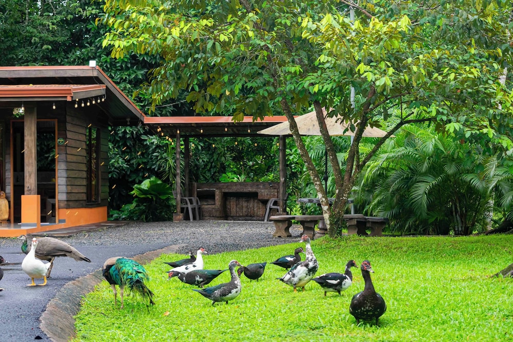 Los Lagos Casas de Campo