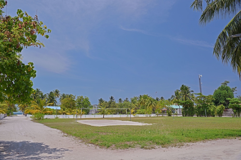 Asaa View