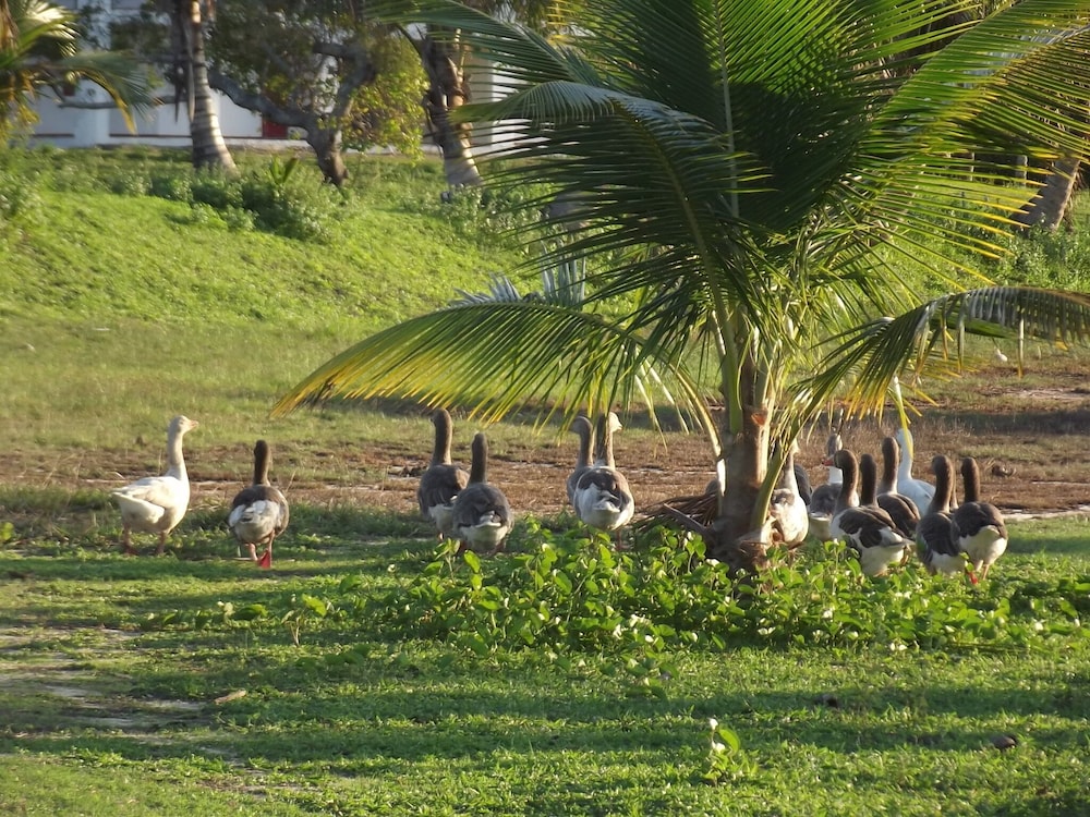 Hotel Fazenda Recanto