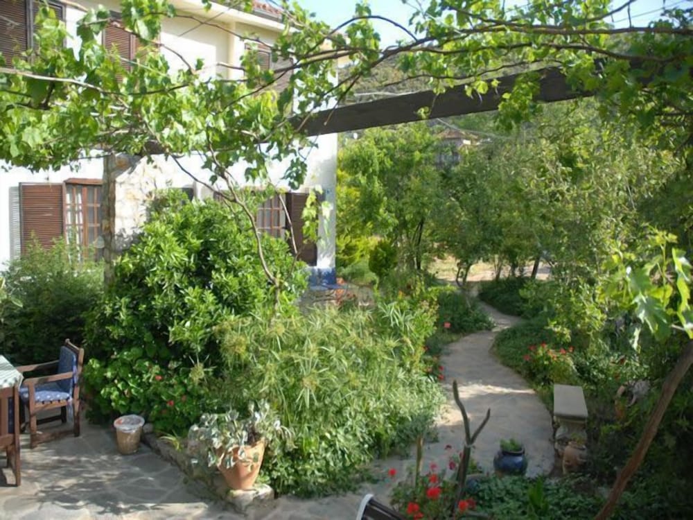 Photo 30