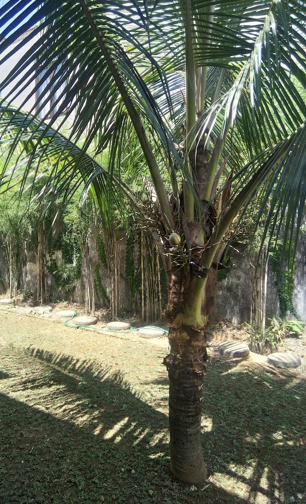 Sayan Ubud Guest Houses