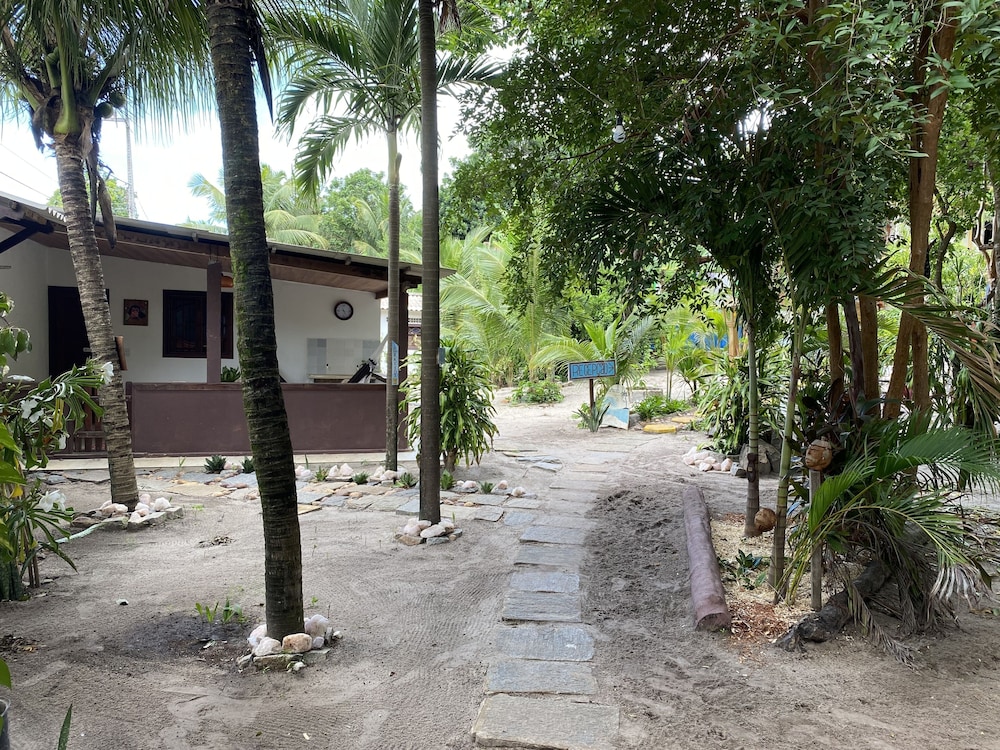 Macaco Surf House - Hostel
