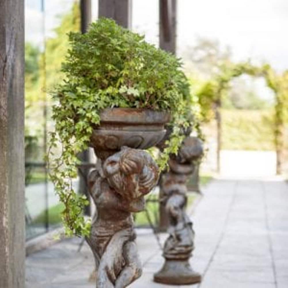 Yeovil Vacations - Northover Manor Hotel - Property Image 16