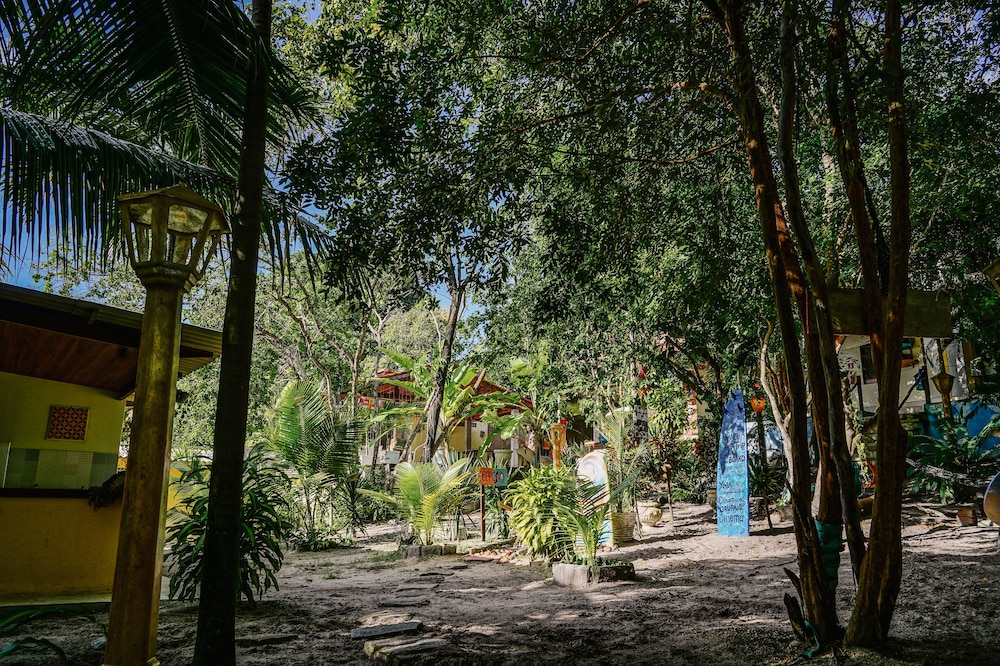 Macaco Surf House - Hostel