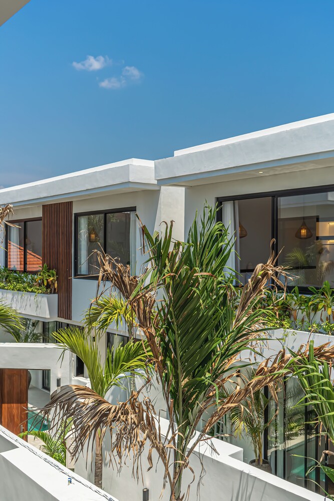 Nova Oasis 1