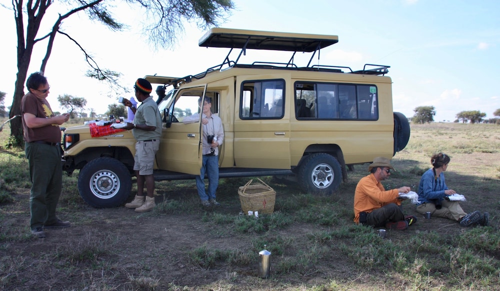 The Vijiji Center Lodge and Safari