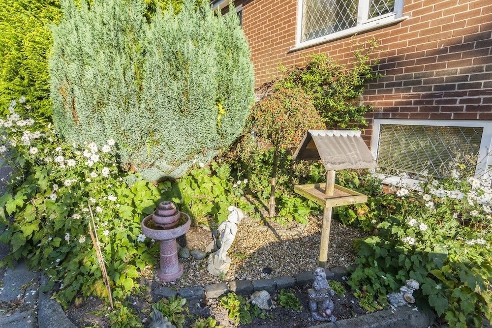 Ivy Guest House