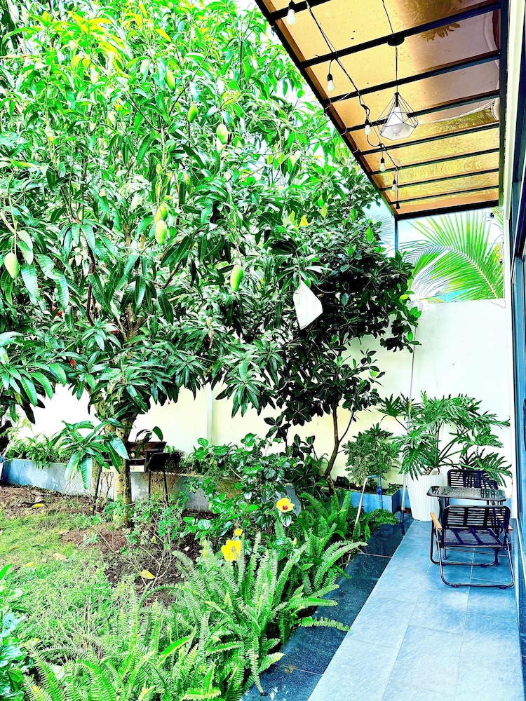 HOMESTAY HALONA