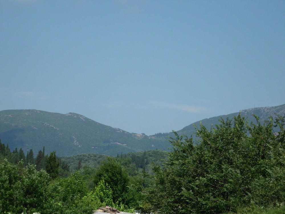 Photo 38