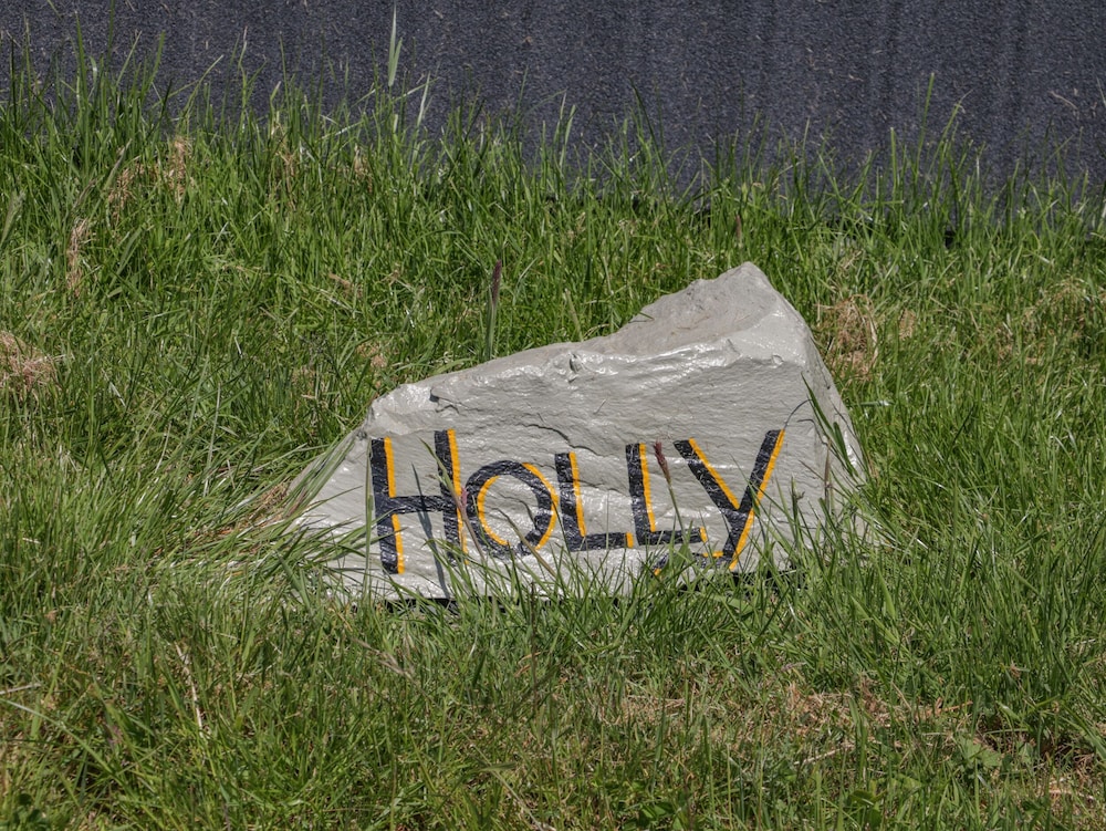 Holly