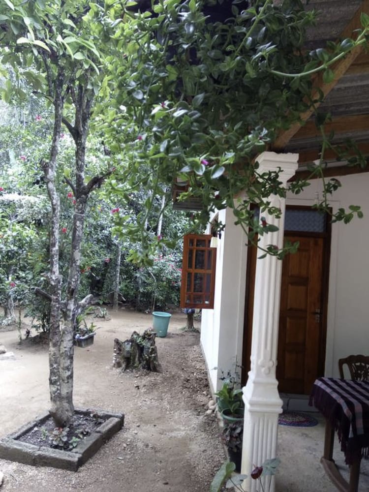 Yoho Nature Homestay