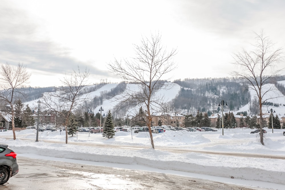 Wintergreen Condos