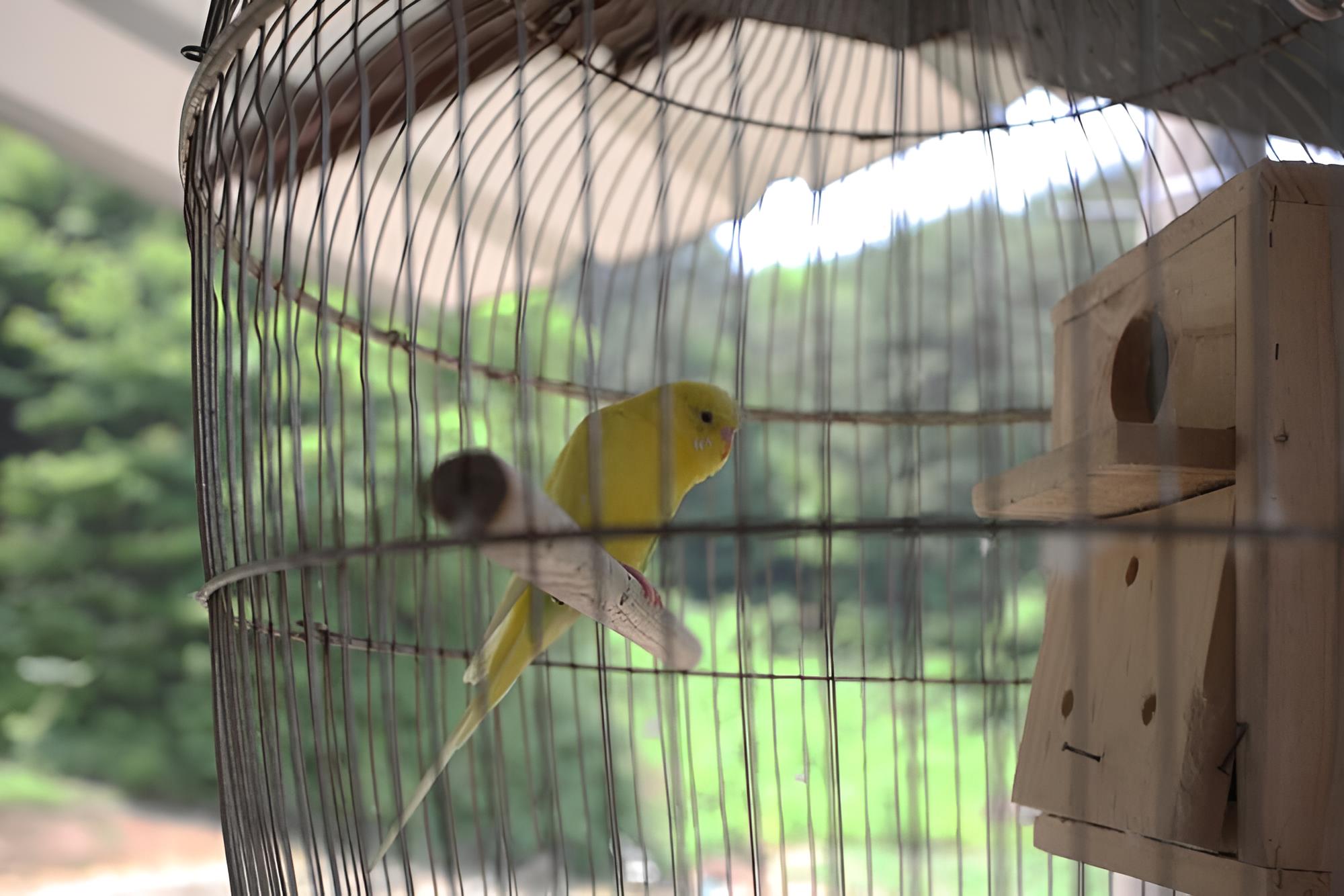 Photo 22
