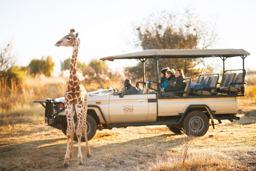 Bona Bona Game Lodge