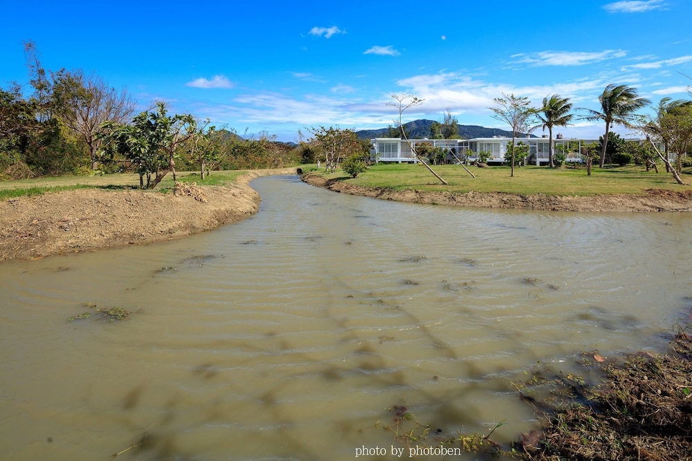 Wild Island B&B
