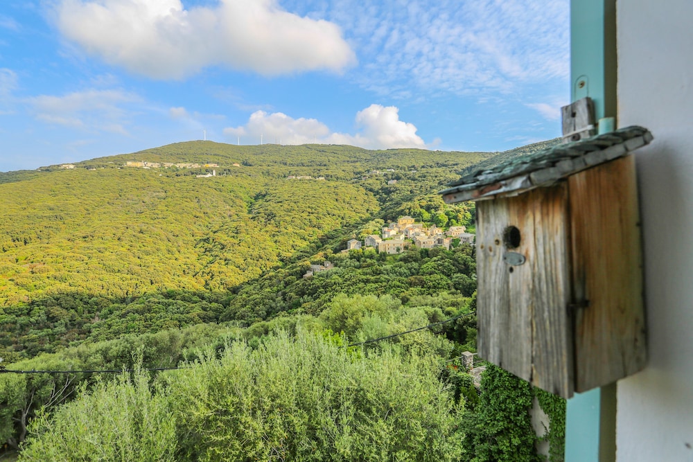Latu Corsu - Cote Corse