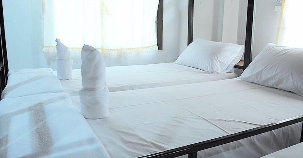 Mickey Hostel
