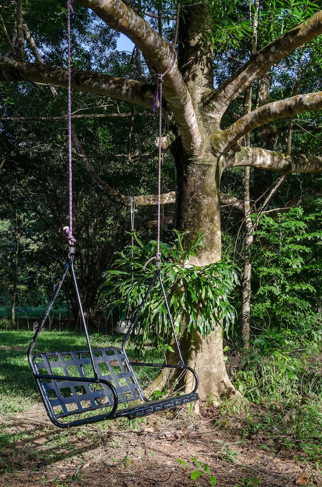 The Epiphyte Bed & Breakfast