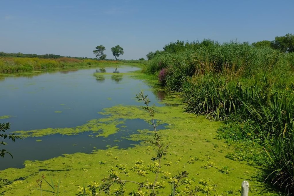 Le Mazet De Jean en Camargue