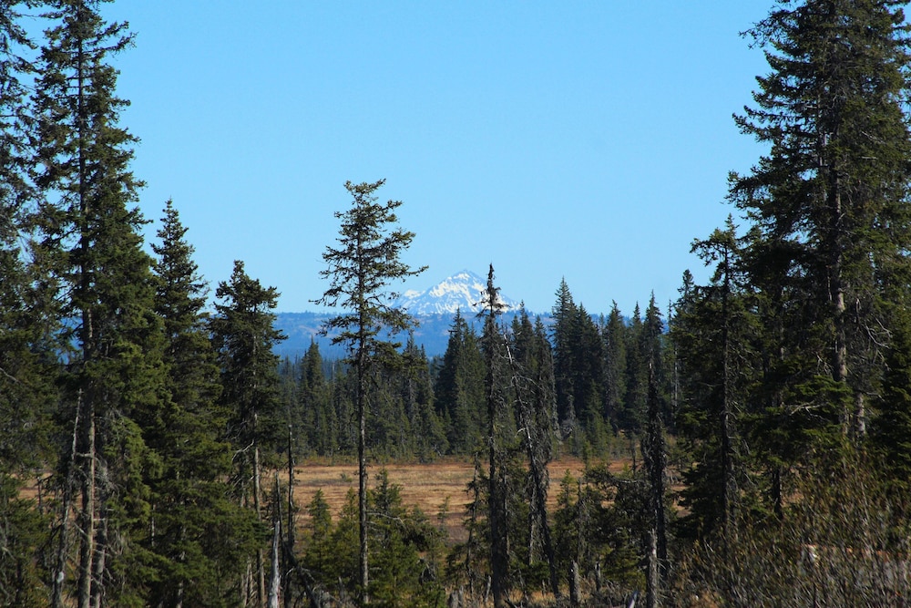 Bear Paw Adventure
