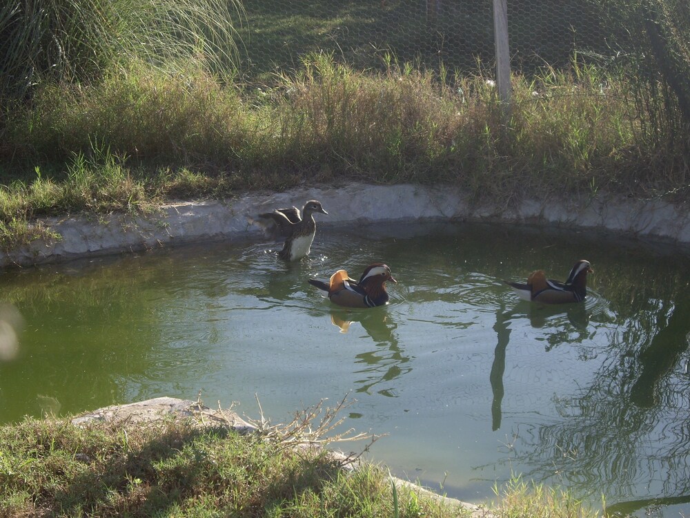 Hemerans Anatolia Otel - Image 54