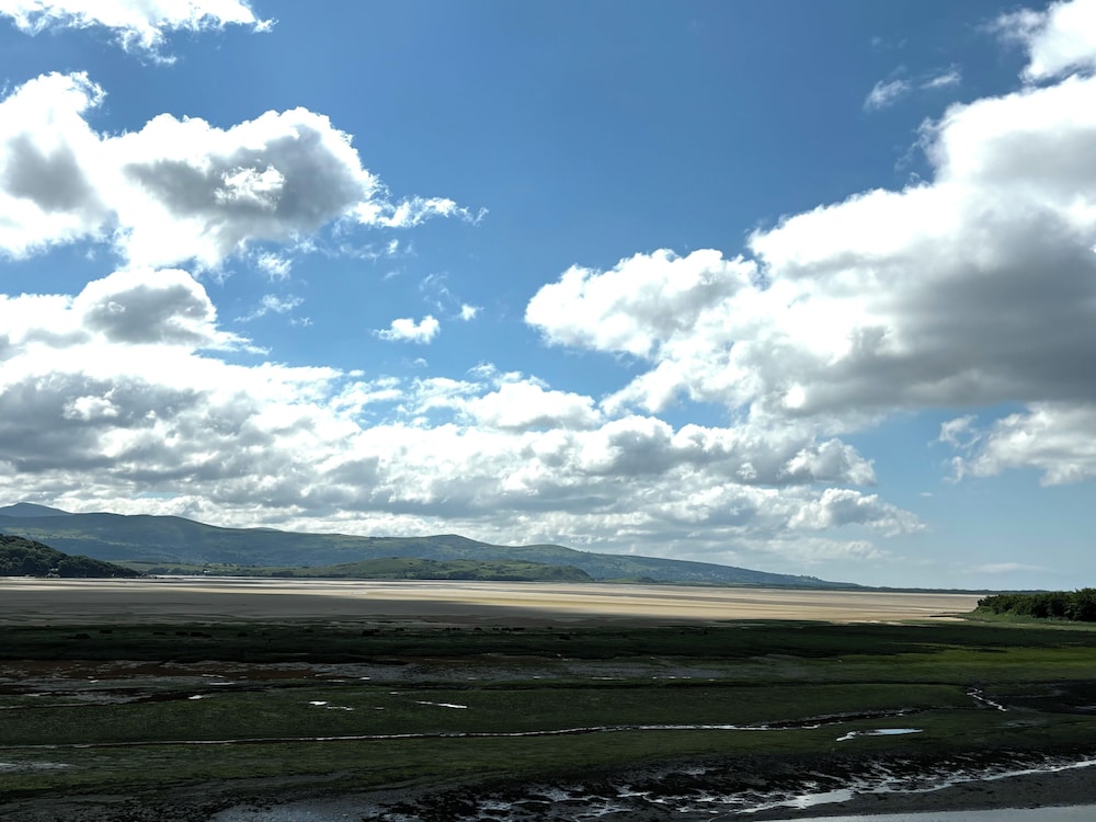 Estuary Escape