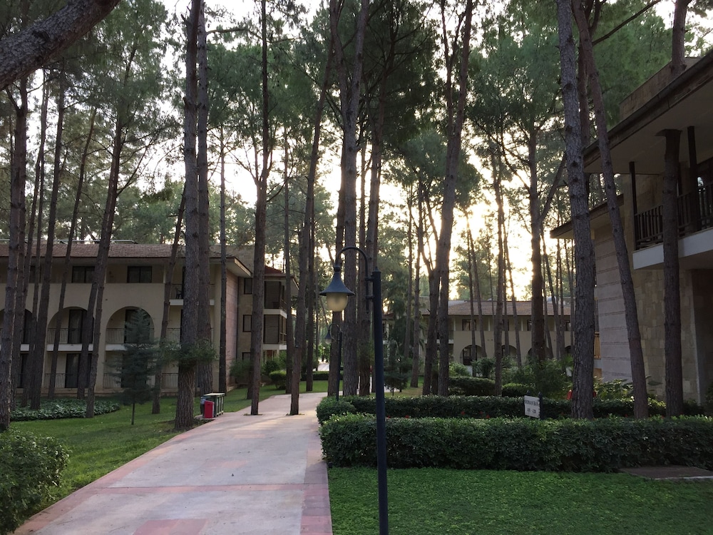 Champion Holiday Village - All Inclusive