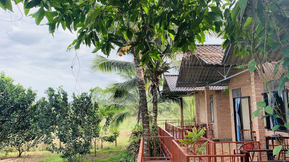 Gibbon Singing Homestay