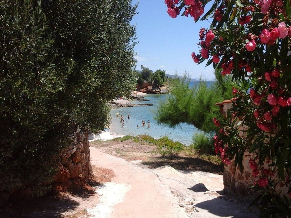 Photo 29