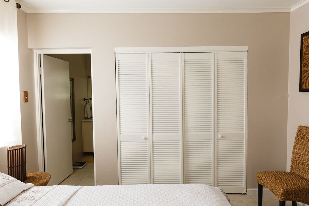 New Kingston Guest Apartment VII