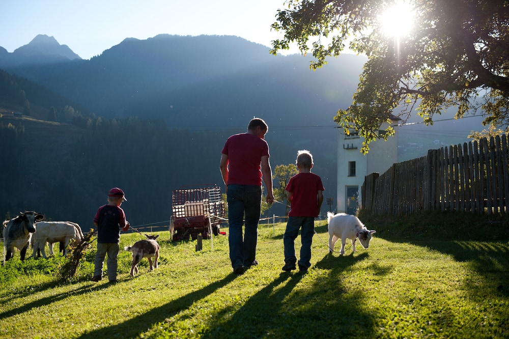 Familienbauernhof Mesner