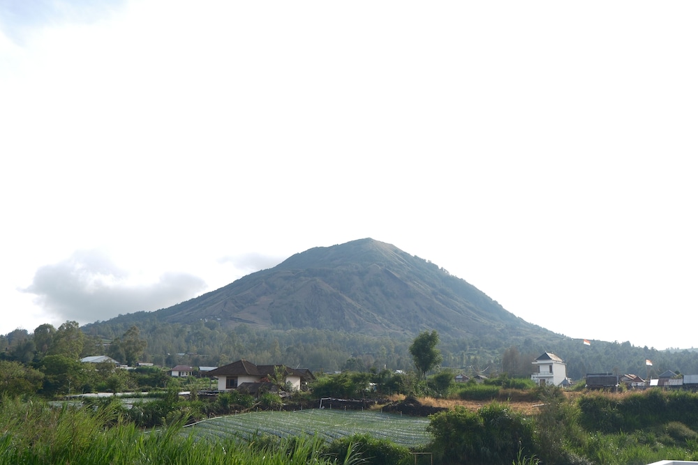 The Vici Batur Villa & Restaurant