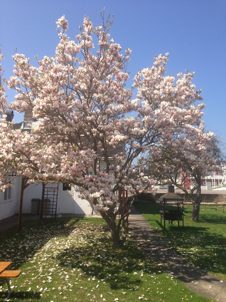 Gamla Bryggeriets B&B