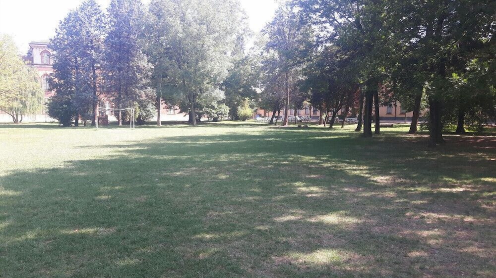 Photo 26