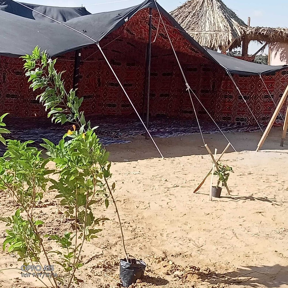 Flamingo Camp