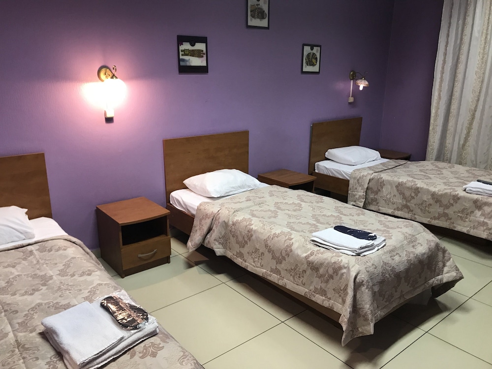 Good Cat - Hostel