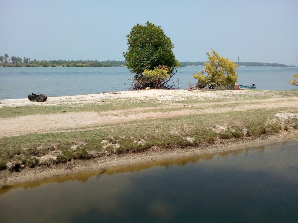 Photo 38