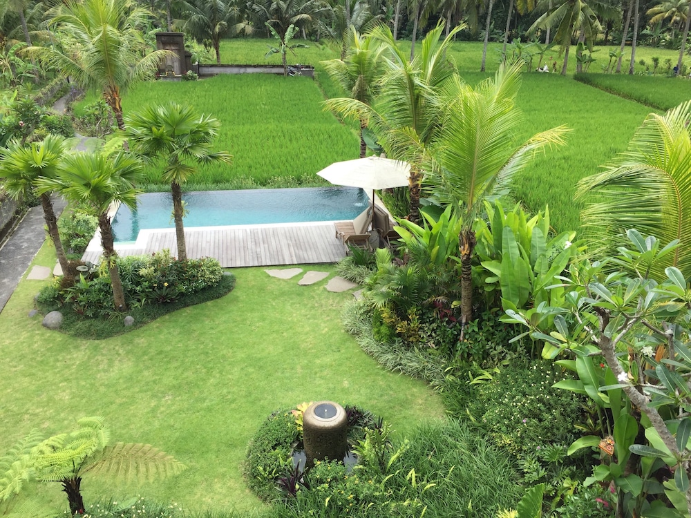 The Suris Ubud view 3