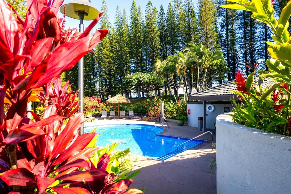 Kapalua Golf 2 Free Cars by KBM Ml-2144