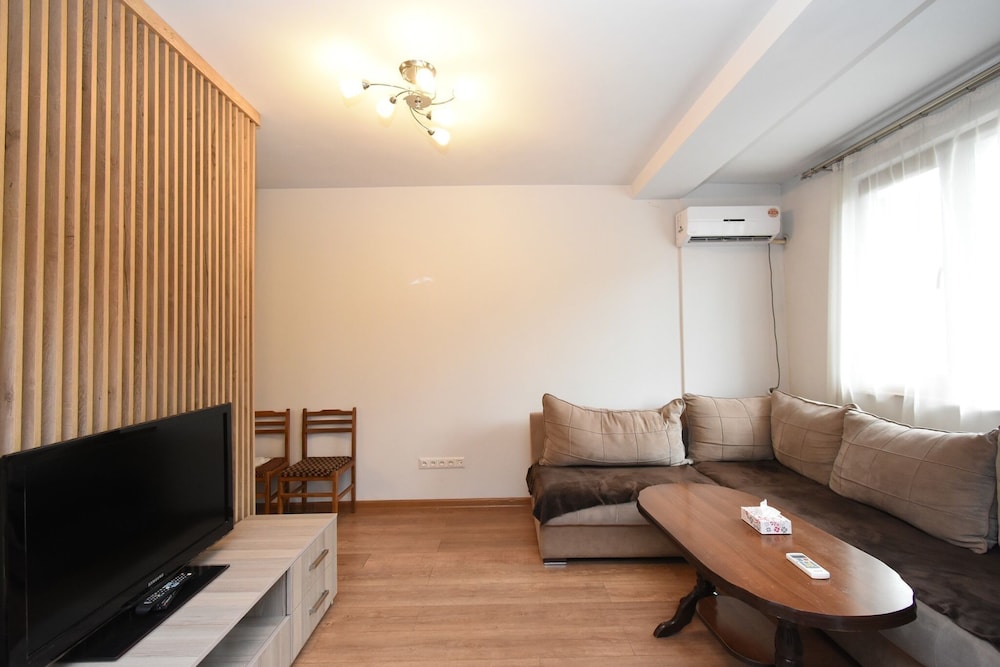 Sunny apartment on Pushkin street