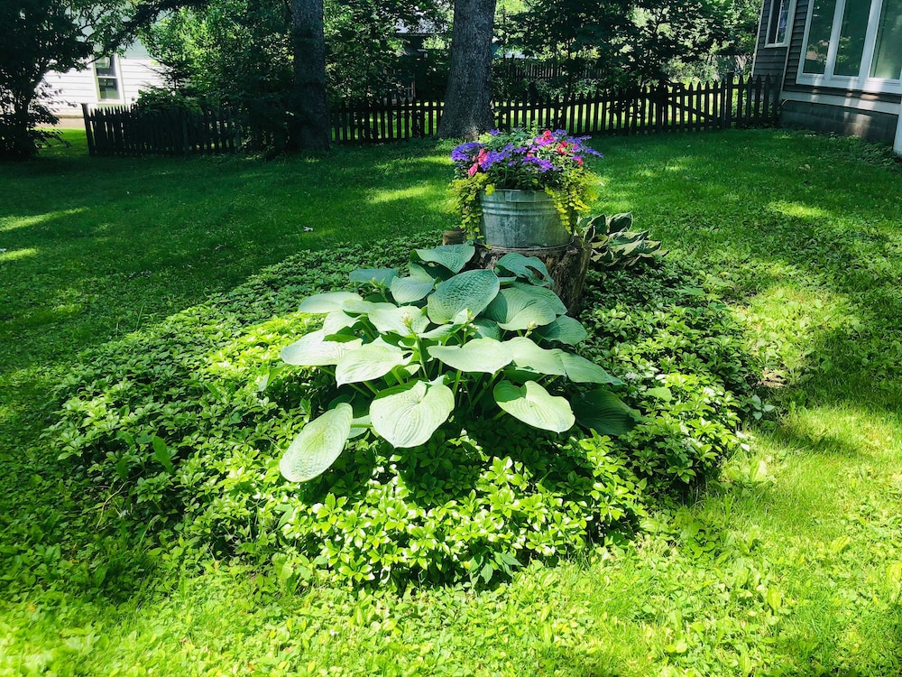 Photo 31