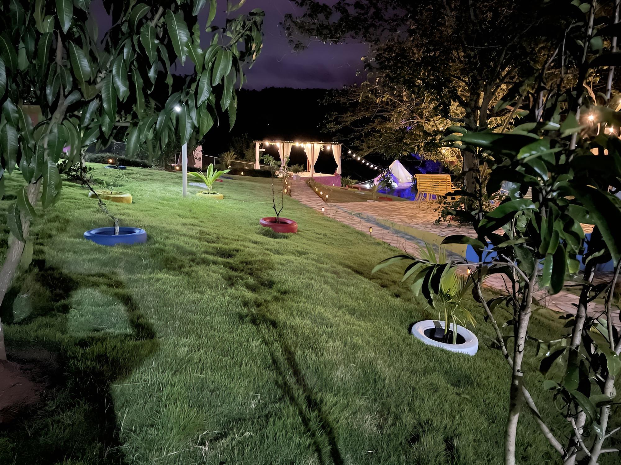 Photo 23
