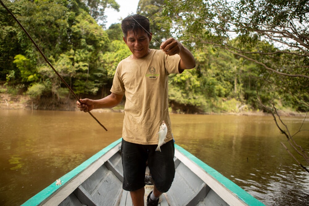 Eywa Lodge Amazonas: Luxurious Eco Escape – All-Inclusive Adventure in the Amazon